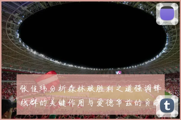 张佳玮分析森林狼胜利之道强调锋线群的关键作用与爱德华兹的贡献