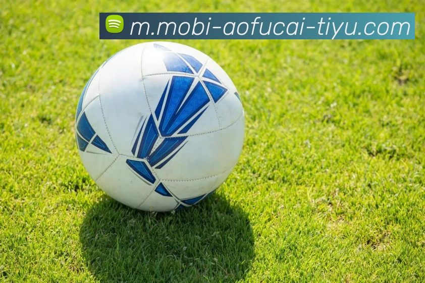 大发彩票平台生态图