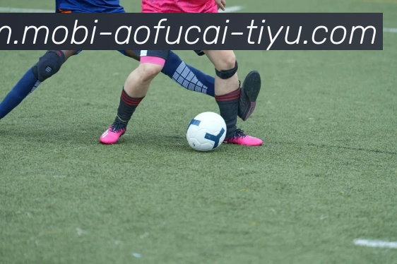 大发彩票APP 封面图